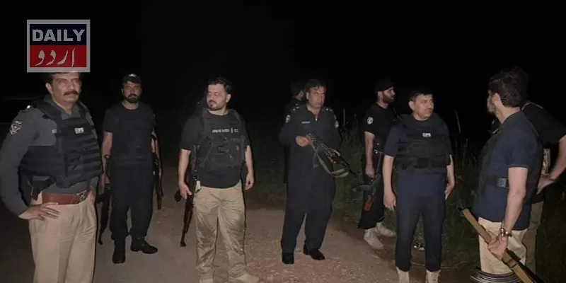 دہشتگردی
