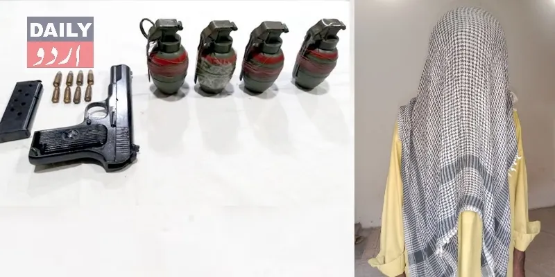 دہشتگردی