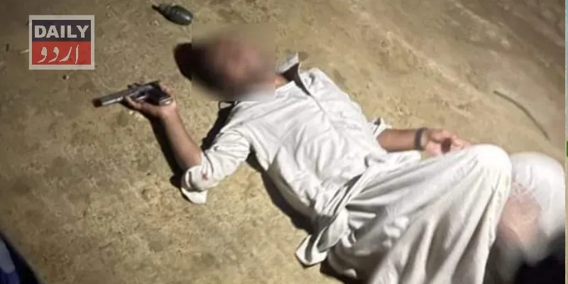 دہشتگردی