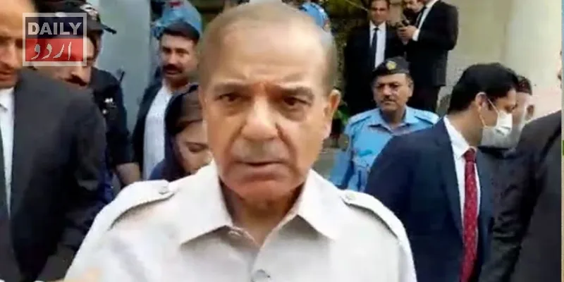 کورٹس