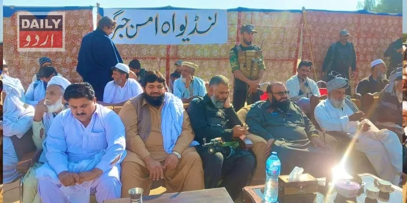 دہشتگردی