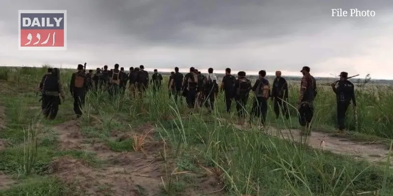 دہشتگردی