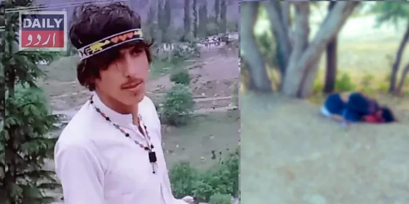 دہشتگردی