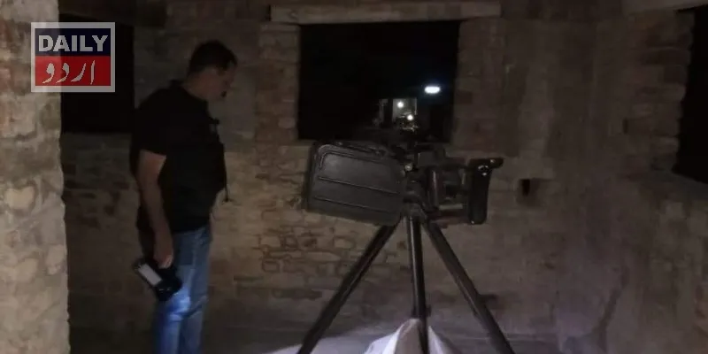دہشتگردی
