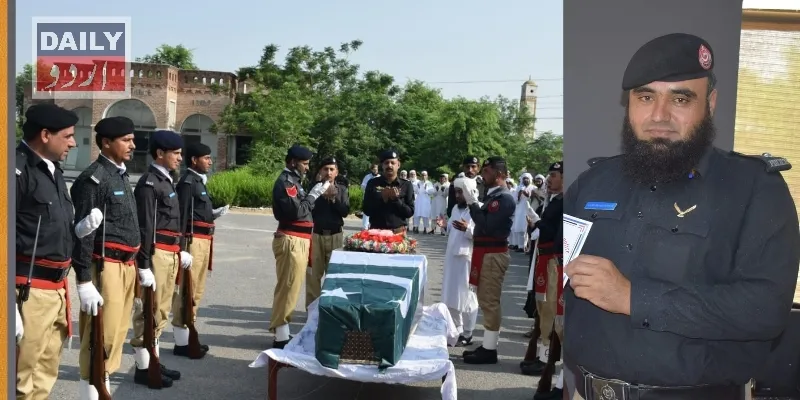 دہشتگردی