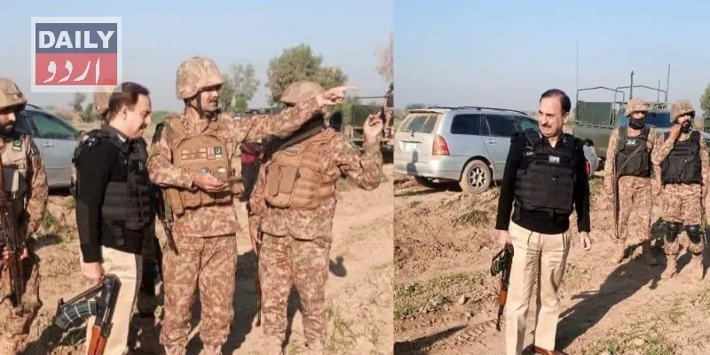 دہشتگردی
