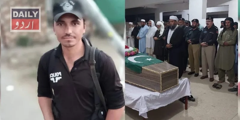 دہشتگردی