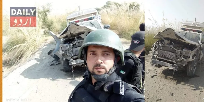 دہشتگردی