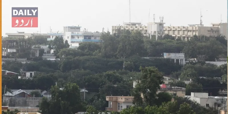 دہشتگردی