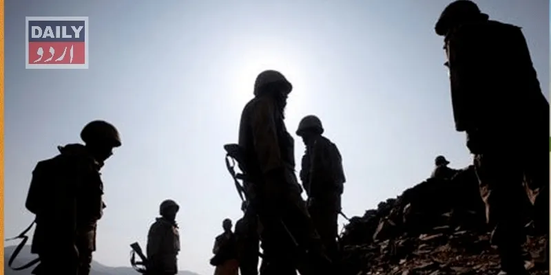 دہشتگردی