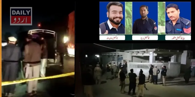 دہشتگردی