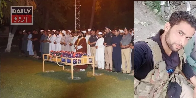 دہشتگردی