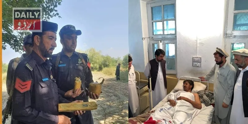 دہشتگردی
