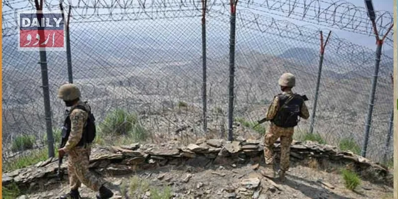 دہشتگردی