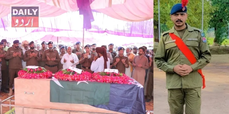 دہشتگردی