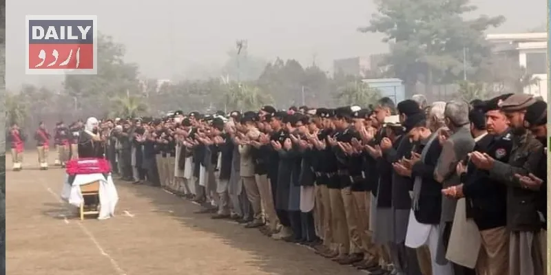 دہشتگردی