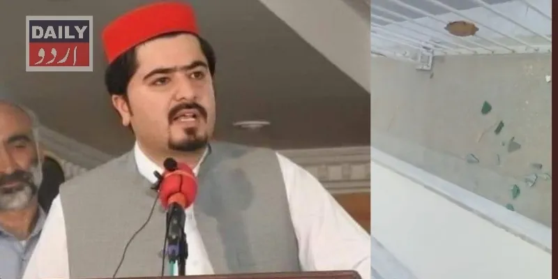 سیاست