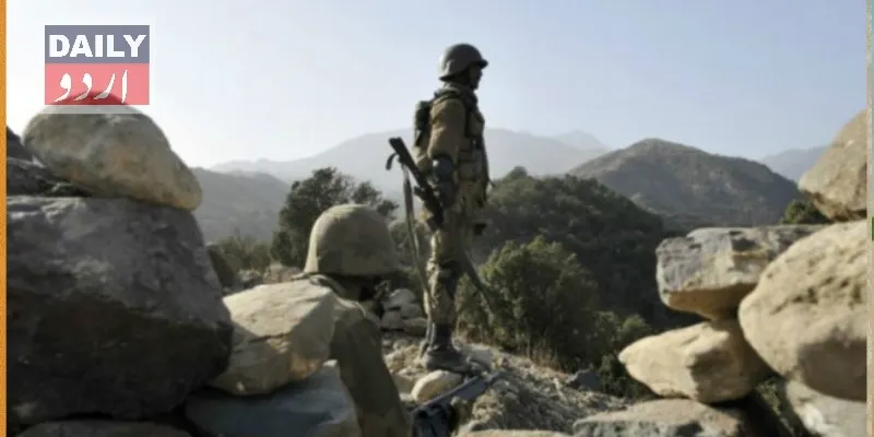دہشتگردی