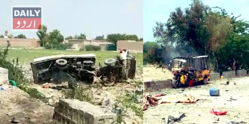 دہشتگردی