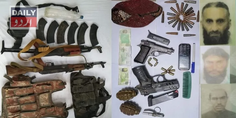 دہشتگردی