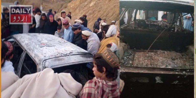 دہشتگردی