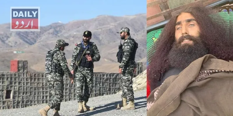 دہشتگردی