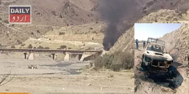 دہشتگردی
