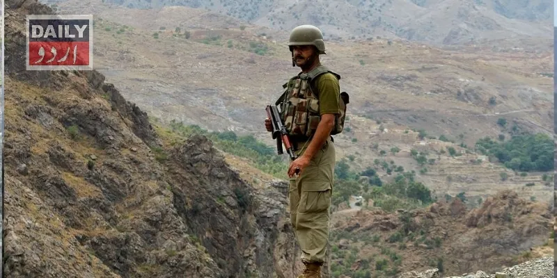 دہشتگردی