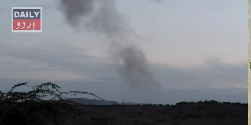 دہشتگردی