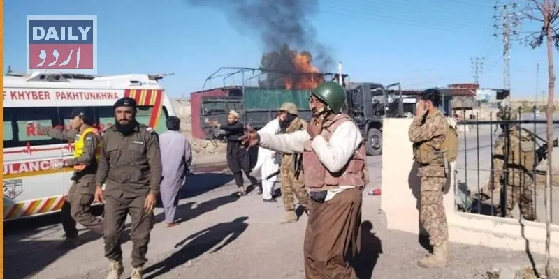 دہشتگردی