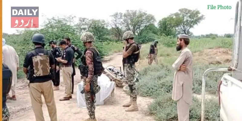 دہشتگردی