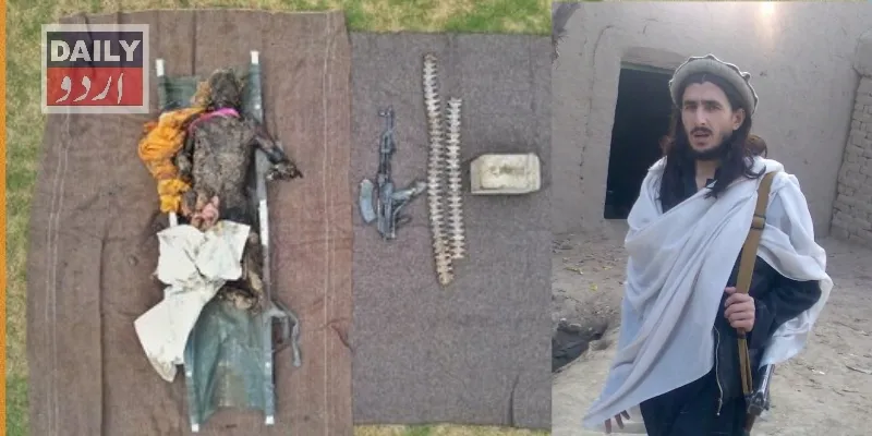 دہشتگردی