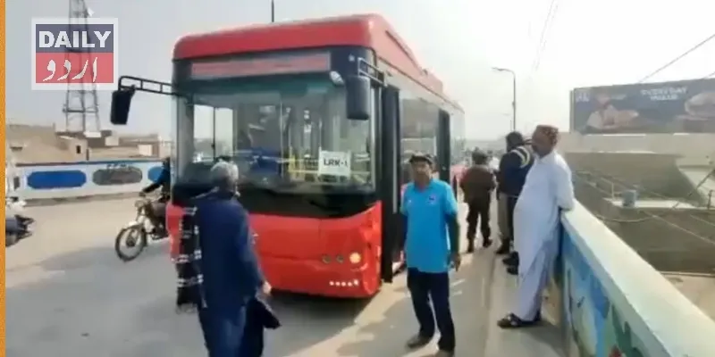 دہشتگردی