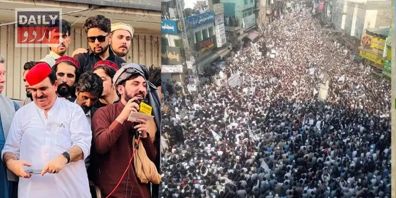 دہشتگردی