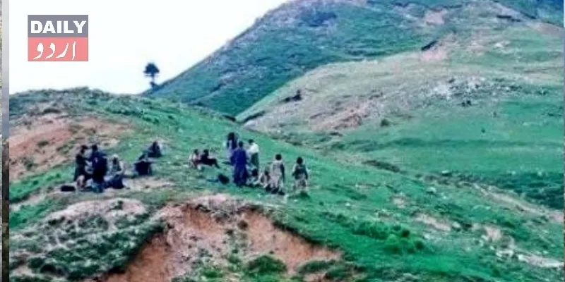 دہشتگردی