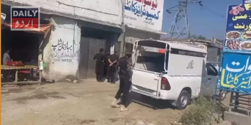 دہشتگردی