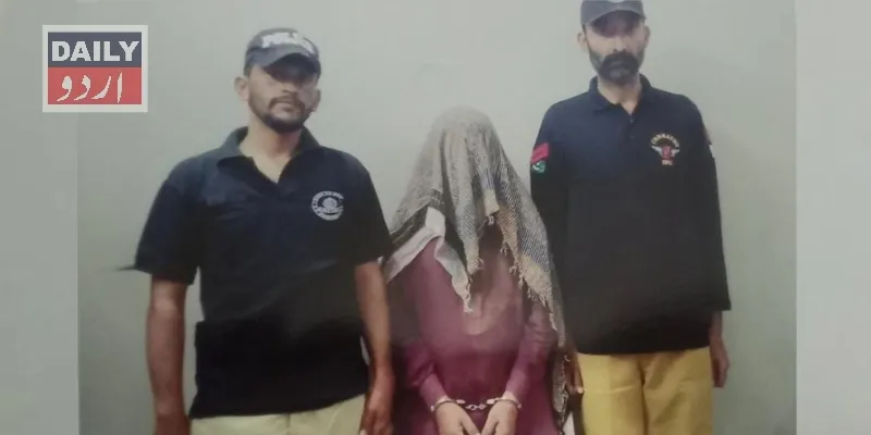 دہشتگردی