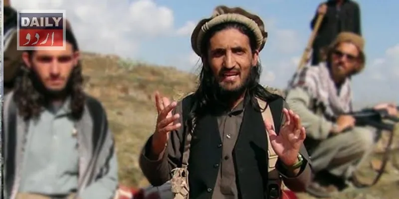 دہشتگردی