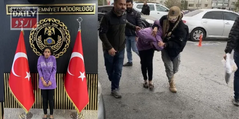 دہشتگردی