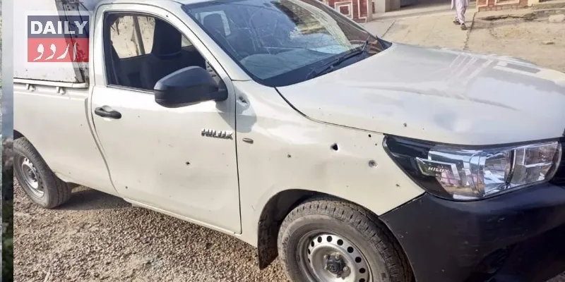 دہشتگردی