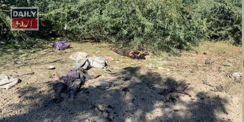 دہشتگردی