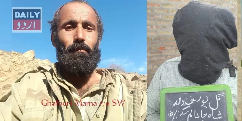 دہشتگردی