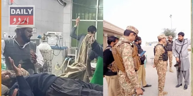 دہشتگردی