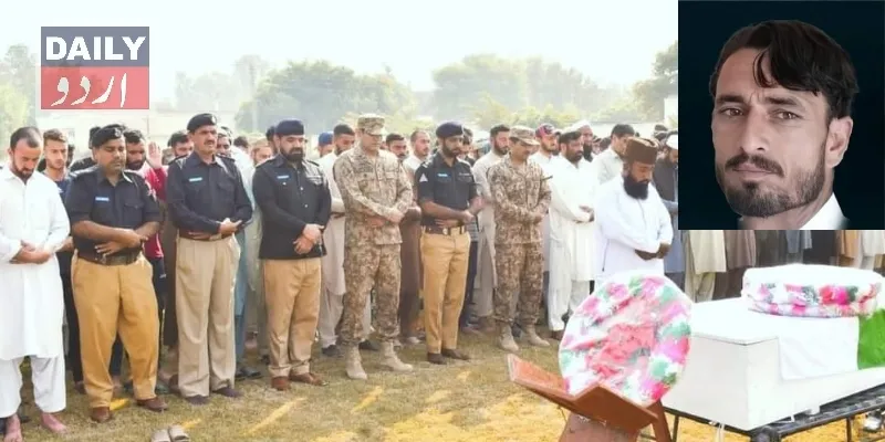 دہشتگردی