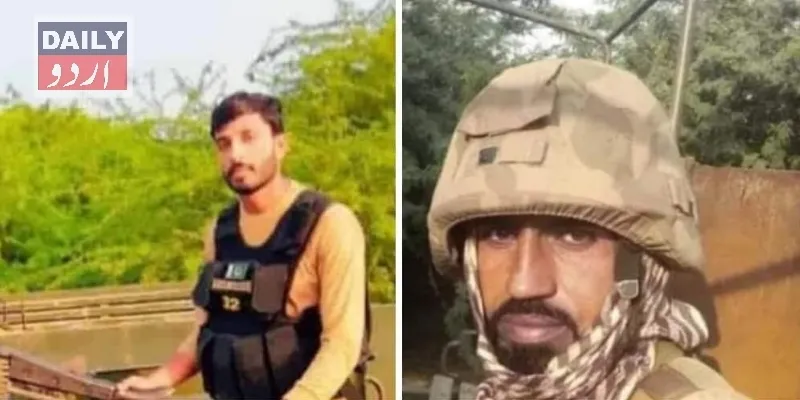 دہشتگردی