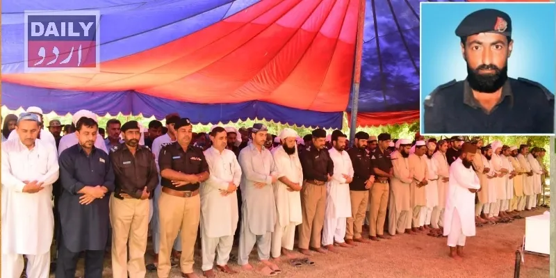 دہشتگردی