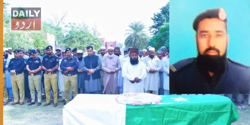دہشتگردی