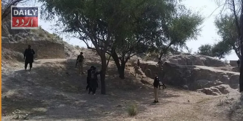 دہشتگردی