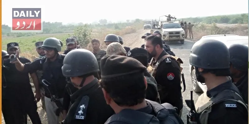 دہشتگردی