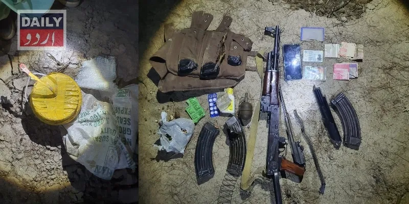 دہشتگردی